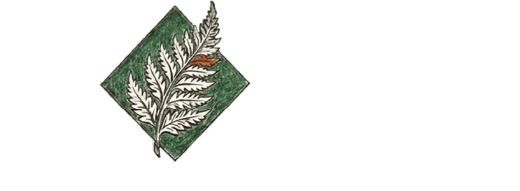 Vision Accomplished Landscape Consulting hand-drawn watercolor logo with fern and diamond emblem.